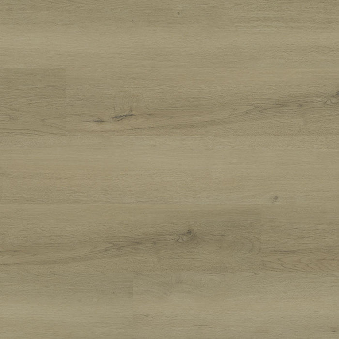 MSI Ashton 2.0 LVP Flooring Benton Blonde