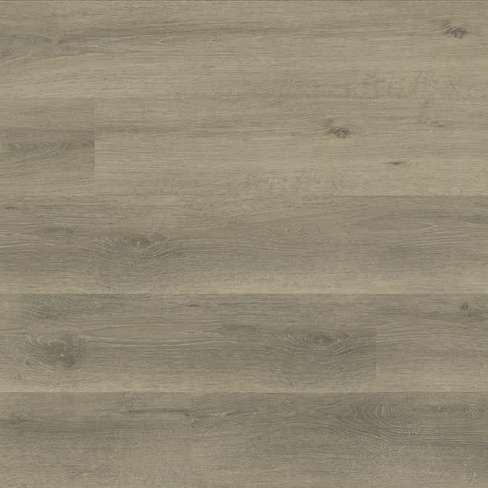 MSI Ashton 2.0 LVP Flooring Dillion Fog